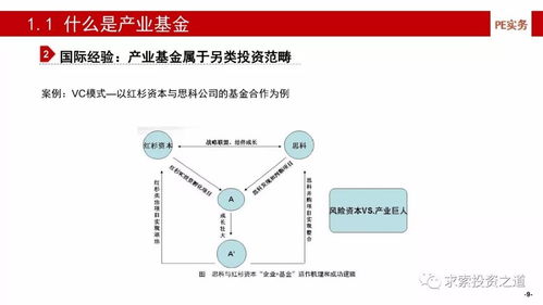 產業基金的建立、投資策略、投后管理與風險控制